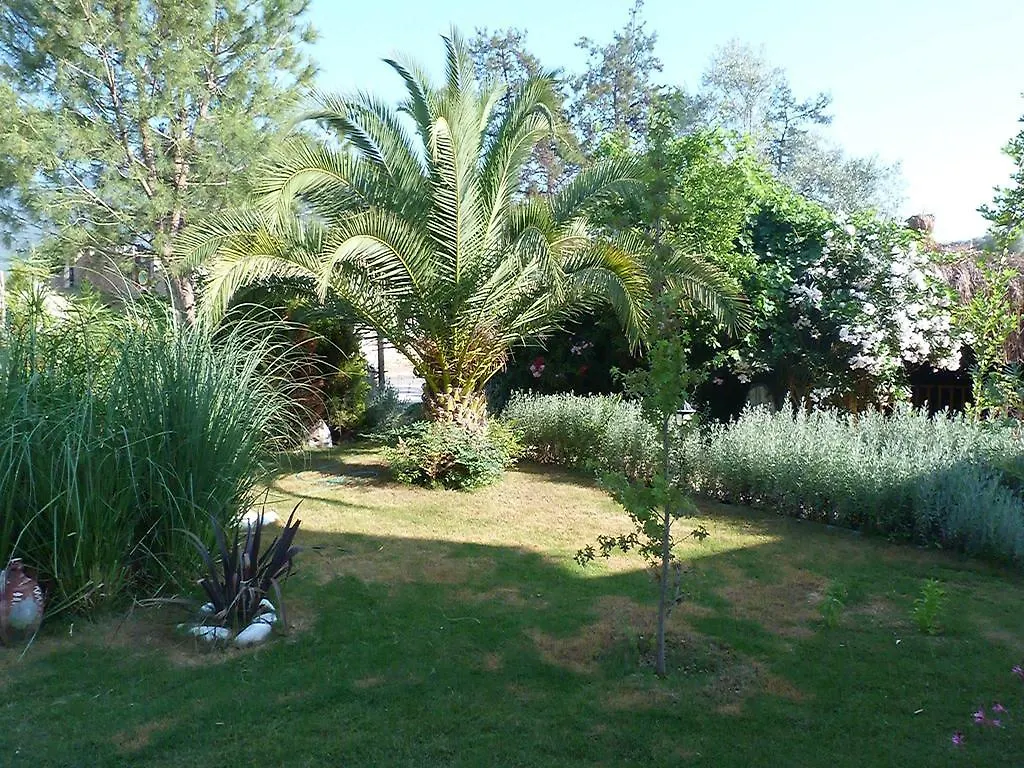 Telmessos Select Hotel - Adult Only Ölüdeniz